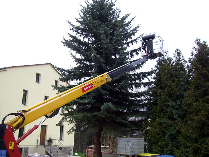 Weihnachten Nordmann